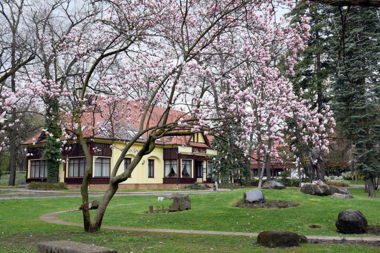 Villa Hotel Debrecen Exterior foto